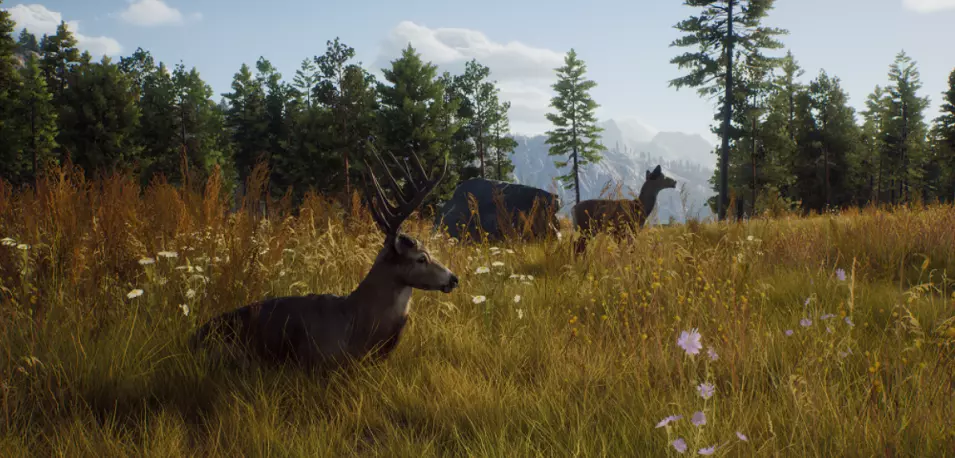 Way of the Hunter